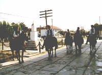 Bocsig - chematori la nunta "palascasi" - Virtual Arad County (c)1999 