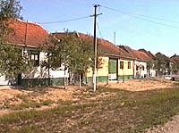 Siad - Gospodarii taranesti - Virtual Arad County (c)2002