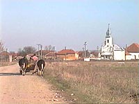 Susag - Vedere generala - Virtual Arad County (c)2002