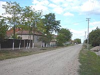 Variasu Mic - Strada principala - Virtual Arad County (c)2002