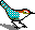 bird01.gif (271 bytes)