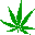 hemp.gif (347 bytes)