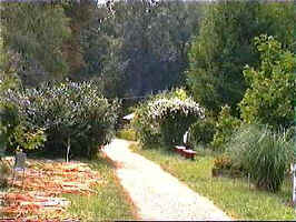 Gradina Botanica din Macea - (c) Virtual Arad News, 1998