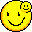 smiley17j.gif (451 bytes)