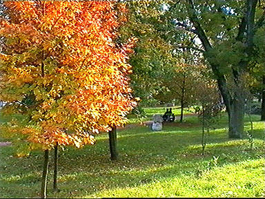 Toamna in parc la Arad - (c) Virtual Arad News, 1998