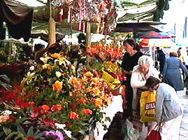 Florile sunt frumoase dar scumpe... - Virtual Arad News (c)1999