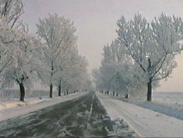 Din nou iarna - Virutal Arad News (c) 1999