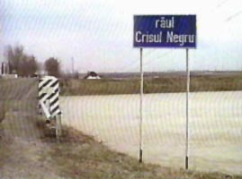 Apele Crisului Negru la Zerind au crescut in mod periculos