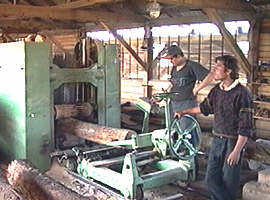 Firmele din domeniul prelucrarii lemnului vor fi sprijinite - Virtual Arad News (c)2000
