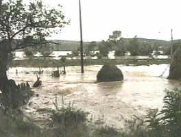 In urma inundatiilor numarul tantarilor a crescut