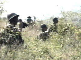 In zona Taut se desfasoara aplicatia batalionului mixt