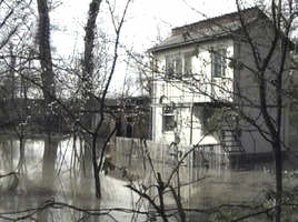 La Insula Muresului multe case de odihna au fost inundate