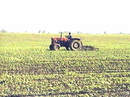 Agricultura este mai rentabila pe suprafete mari...