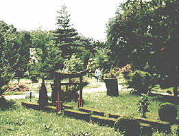 Gradina Botanica de la Macea este sub obladuirea Universitatii "Vasile Goldis" - Virtual Arad News (c)2001