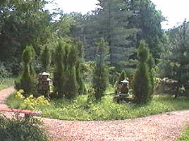 Gradina Botanica Macea - obiectiv de interes european - Virtual Arad News (c)2001