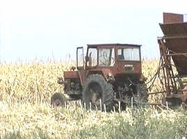 Guvernul s-a decis sa nu-i mai sprijine pe micii agricultori...