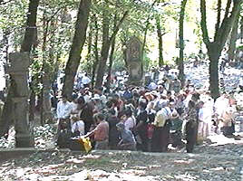 In parcul manastirii Radna, credinciosii s-au rugat Fecioarei Maria - Virtual Arad News (c)2001