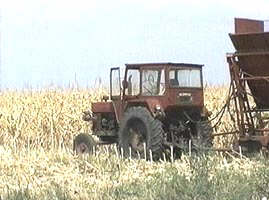 Motii vor fi ajutati sa faca agricultura