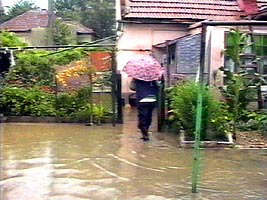 Ploile au inundat mai multe case din Bujac