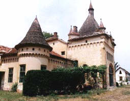 Castel de la Sofronea va fi renovat cu ajutorul americanilor - Virtual Arad News (c)2002