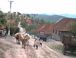 Locuitorii satelor se confrunta cu lipsuri... - Virtual Arad News (c)2002