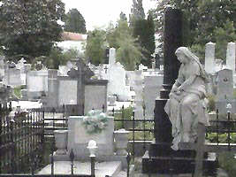 Locurile in cimitire nu sunt suficiente...