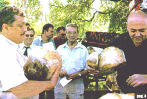 Oficialitatile aradene au primit cate o paine de Pecica...