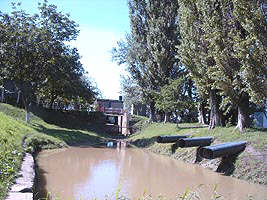 Statia de pompare Micalaca asigura apa pentru irigatiile din Ungaria - Virtual Arad News (c)2002