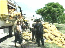 Accident de circulatie langa comuna Vladimirescu