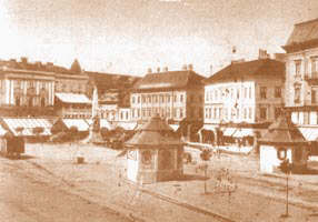 Aradul in secolul XIX