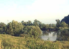 Comisia Monumentelor Naturii a avizat constituirea ariei protejate "Lunca Muresului" - Virtual Arad News (c)2003