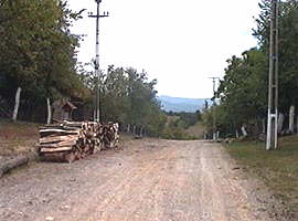 Desi este asezat intr-o zona pitoreasca, satul Brusturescu e pe cale de disparitie - Virtual Arad News (c)2003