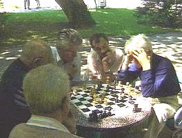 Din cauza caldurilor mari, numarul pensionarilor care joaca sah in parc s-a imputinat