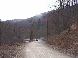 Drumul de la Moneasa la Stei va fi deschis in curand - Virtual Arad News (c)2003