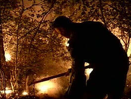Dupa 12 ore incendiul padurii de la Cladova a fost stins