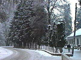 La Moneasa a fost infiintata si o partie pentru schi - Virtual Arad News (c)2003