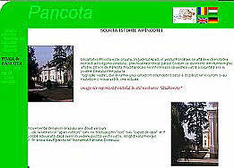 O noua pagina web dedicata orasului Pancota