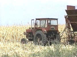 Proprietarii de terenuri agricole vor fi ajutati de Guvern...