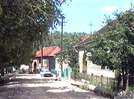 Slatina de Mures doreste sa apartina de comuna Varadia - Virtual Arad News (c)2003