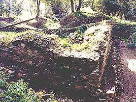 Tot la Cladova poate fi vizitat si un santier arheologic - Virtual Arad News (c)2003
