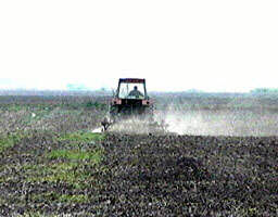 Agricultorii aradeni pot beneficia de experienta japoneza