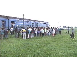 Calatorii fraudulosi - prezente nedorite in trenuri