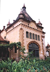 Castelul de la Sofronea va intra in circuitul turistic - Virtual Arad News (c)2004