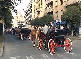 Cu ocazia unor zile festive trasurile trase de cai reprezinta o atractie pentru oraseni - Virtual Arad News (c)2004