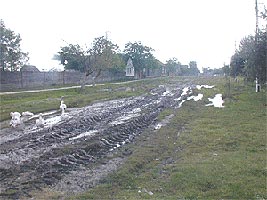 Dupa ploi in Hunedoara Timisana se ajunge greu