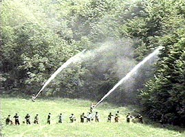 Exercitiu de stingerea incendiului in padurea de la Cladova