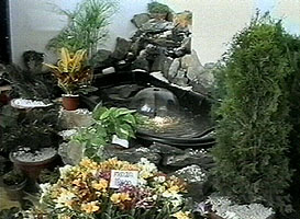 Frumoase aranjamente florale pot fi gasite la Expo Gardenia