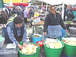 In ajun de sarbatori varza acra e la mare cautare