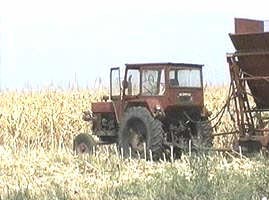 In judetul Arad pretul terenurilor agricole s-a dublat