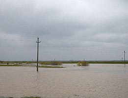 In multe zone ale judetului inundatiile au facut pagube importante - Virtual Arad News (c)2004